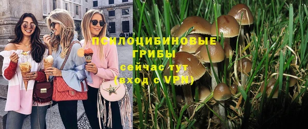 молекула духа Абдулино