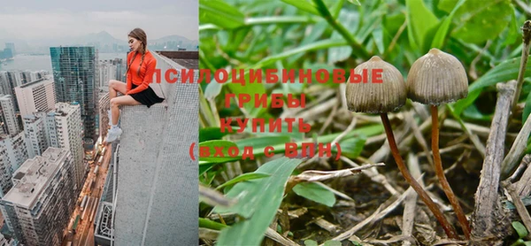 мдпв Абаза
