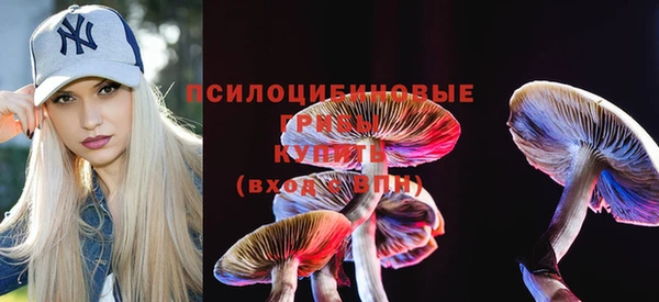мдпв Абаза