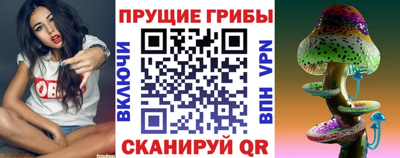 Псилоцибиновые грибы MAGIC MUSHROOMS  купить наркоту  Александровск-Сахалинский 